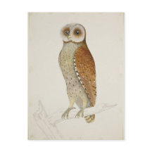 Hur är det nu i Uggla i Bay?