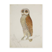 Hur är det nu i Uggla i Bay?