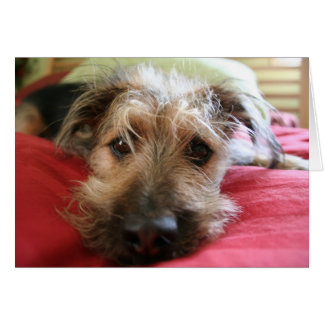 Hur är du? hälsningskort