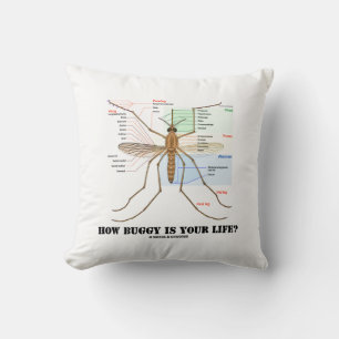 Hur Buggy är ditt liv? Mosquito Anatomy Humor Kudde