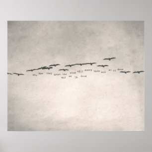 "Hur de litar på" Poster