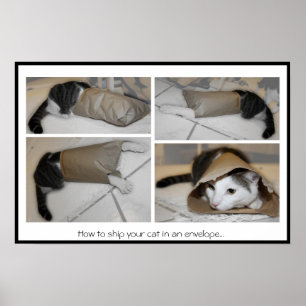 Hur du frakter katten i ett kuvert...roligt tryck