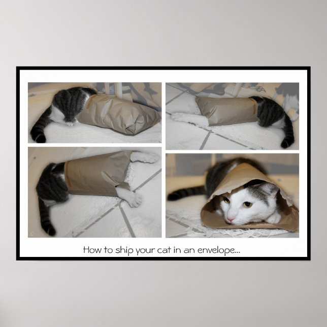 Hur du frakter katten i ett kuvert...roligt tryck (Framsidan)