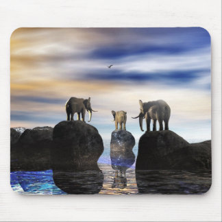 hur fick han där, fred? musmatta