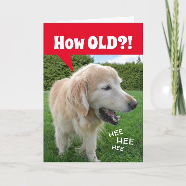 Hur GAMLA? Laughing Golden Retriever Hund Birthday Kort (Framsida)