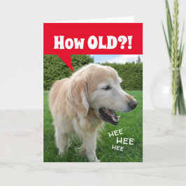 Hur GAMLA? Laughing Golden Retriever Hund Birthday Kort