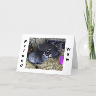 HUR GAMMAL ÄR DET I ÅR? KORT