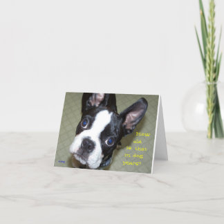 Hur gammalt i hundår? kort