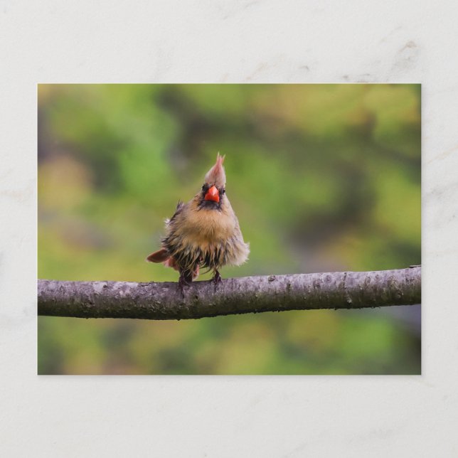 Hur går det med din dag? vykort (Framsida)