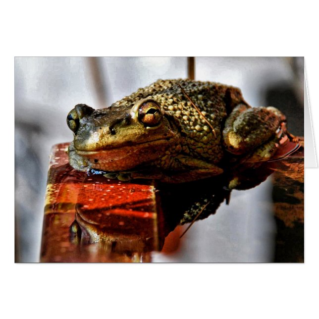 Hur gör du? hälsningskort (Framsidan Horizontal)