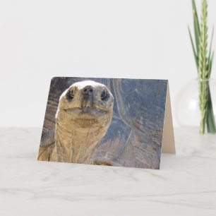 Hur gör du? Tortoise Greeting Card Kort