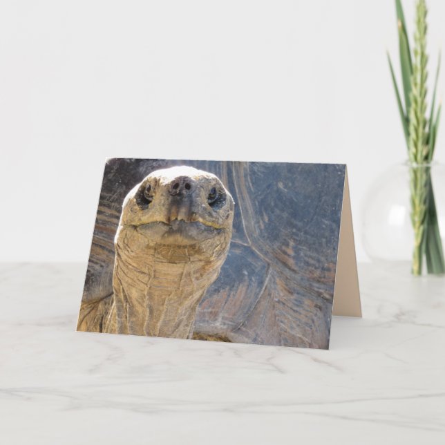Hur gör du? Tortoise Greeting Card Kort (Framsida)