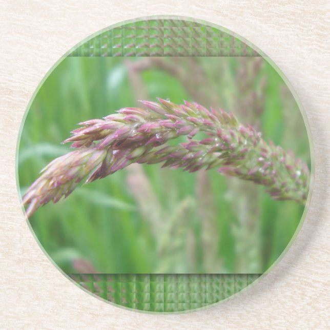 Hur gräsmattorna Underlägg (Framsidan)