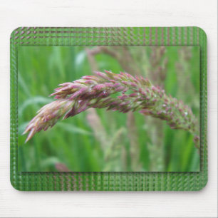 Hur Grass Grows Mousepad växer Musmatta