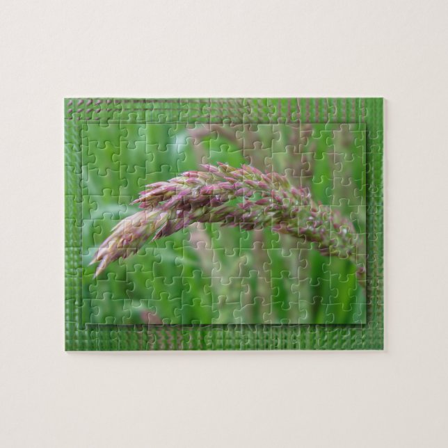 Hur Grass grows Puzzle växer Pussel (Horisontell)