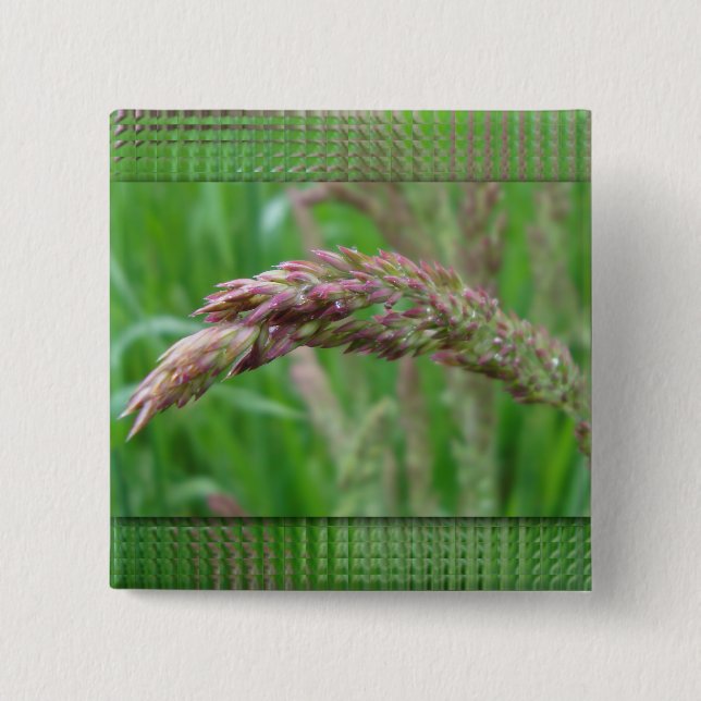 Hur Grass växer, knapp (Framsida)