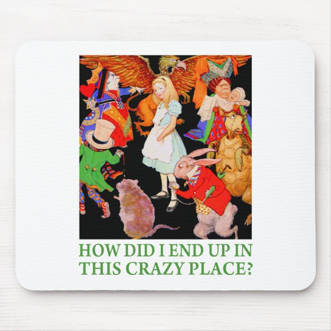 HUR HADE JAG HITTAT I DET HÄR CRAZY STÄLLE? MUSMATTA (Framsidan)