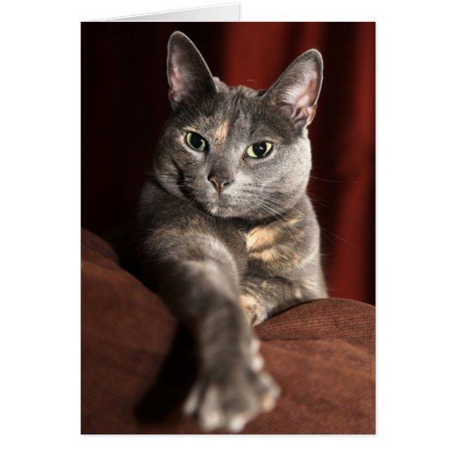 Hur har du varit? hälsningskort (Framsidan)