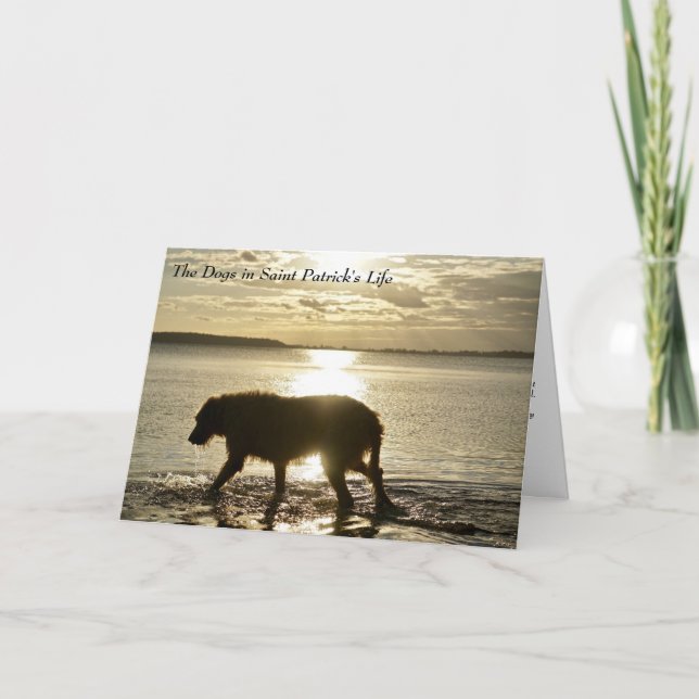 Hur Hundar inspired St. Patrick Kort (Framsida)