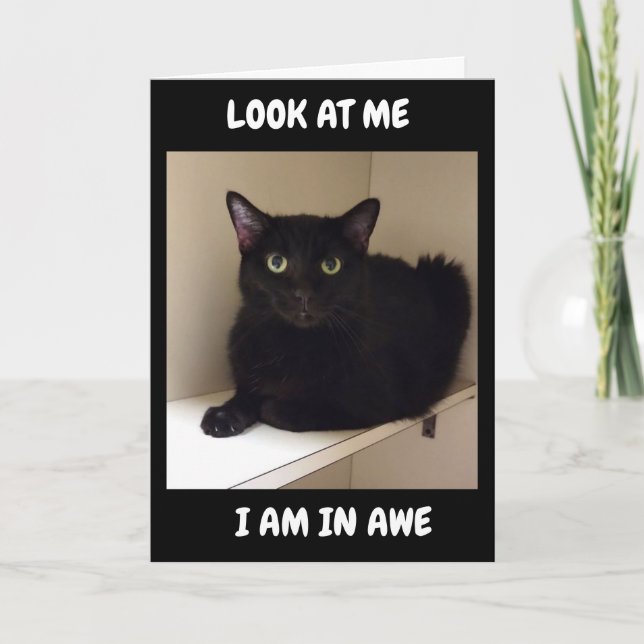 HUR KAN DU VÄNTA "50"? KORT (Framsida)