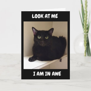 HUR KAN DU VÄNTA "50"? KORT