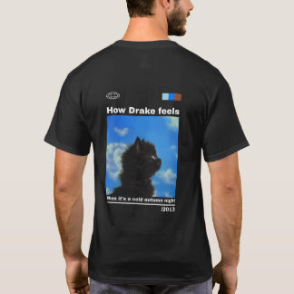 Hur känns Drake på en höstkväll på kallet? T Shirt