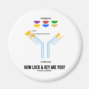 Hur låsa, och är nyckeln dig? (Antigenantikropp) Magnet