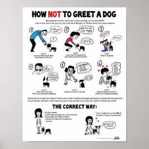 Hur man hälsar enVänskapsmatch för hund (11" x Poster