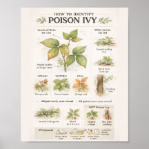 Hur man identifierar giftsumak – Botanisk utbildni