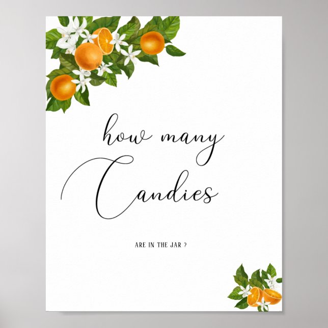 Hur många kaniner finns det? poster (Framsidan)