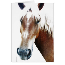 Hur mår du? hälsningskort