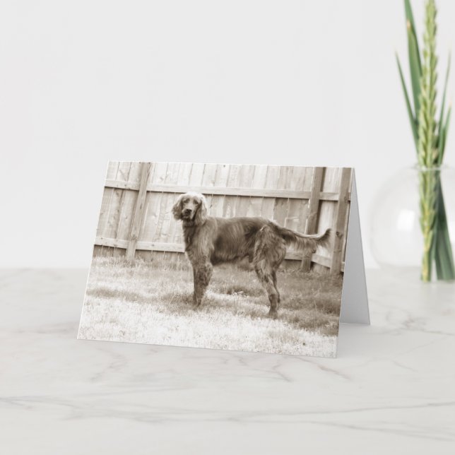 Hur mår du? kort (Framsida)