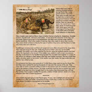 Hur Mercy Dogs räddade WWI-soldater på slagfälten Poster