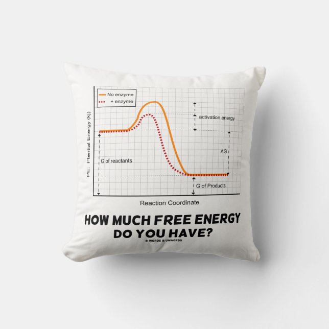 Hur mycket fri energi har du? Kemi Humor Kudde (Framsida)