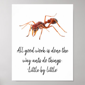 Hur myrorna fungerar poster