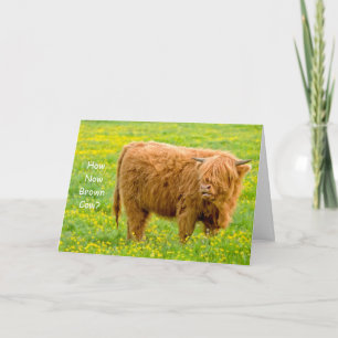Hur nu brun ko? Födelsedagkort Kort