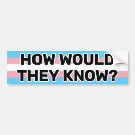 Hur skulle de kunna känna Flagga Black Trans Pride Bildekal