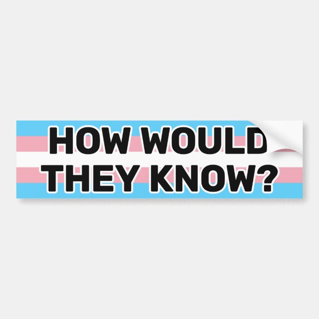 Hur skulle de kunna känna Flagga Black Trans Pride Bildekal (Framsidan)