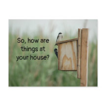 Hur tänker sak på dina fåglar?