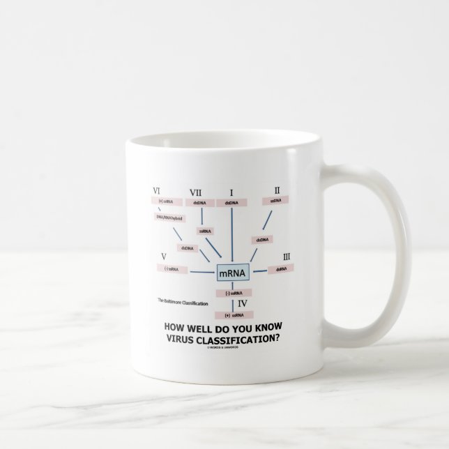 Hur väl känner du till virusklassificeringen? kaffemugg (Höger)