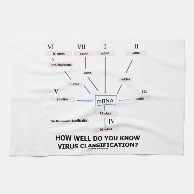 Hur väl vet du virusklassifikation? kökshandduk (Horisontell)