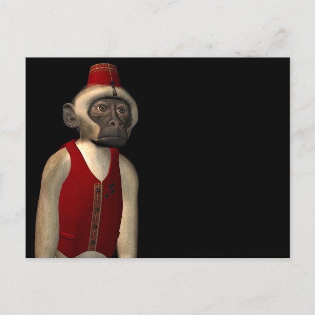 Hurdy Gurdy 3D Music Monkey 11 Vykort (Framsida)