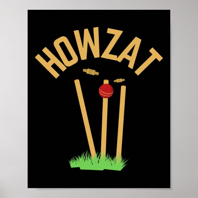Hurra Cricket Fan Elak Bollen Gåva Tsman Bowler Poster (Framsidan)