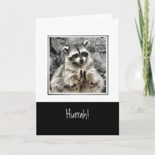 Hurra!  Cute Racoon Clapping Funny Animal Art Helgkort