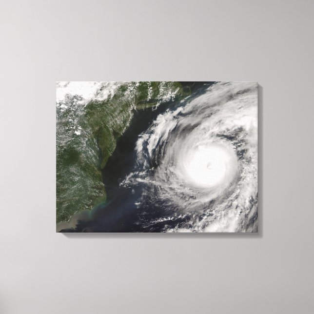 Hurricane Alex Canvastryck (Framsida)