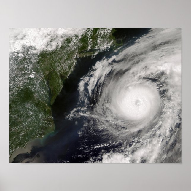 Hurricane Alex Poster (Framsidan)