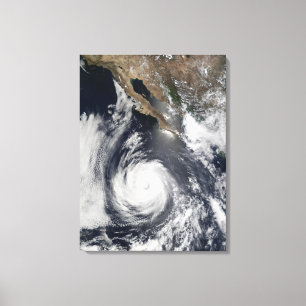 Hurricane Douglas Canvastryck