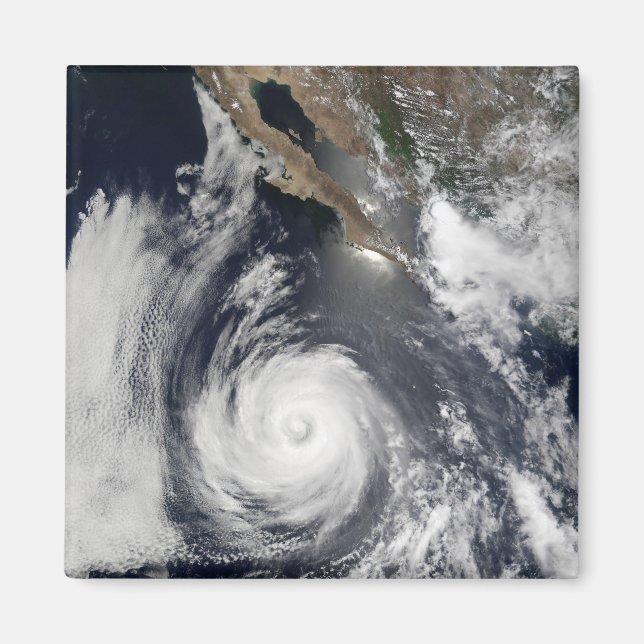 Hurricane Douglas Magnet (Framsidan)
