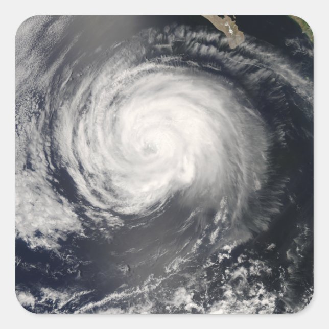 Hurricane Fausto Fyrkantigt Klistermärke (Framsida)