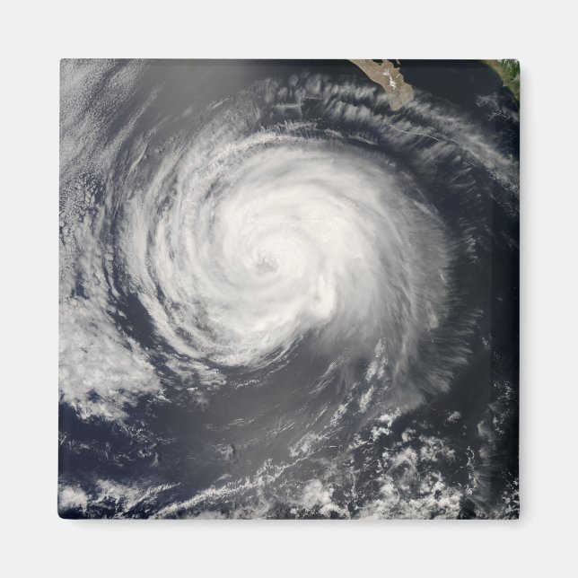 Hurricane Fausto Magnet (Framsidan)